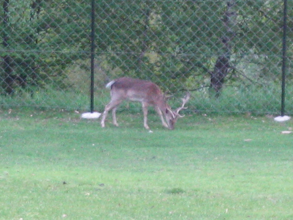 IMG_6167.JPG