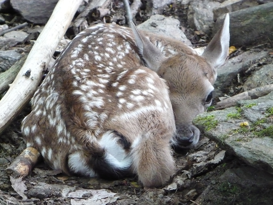 P1000315.JPG