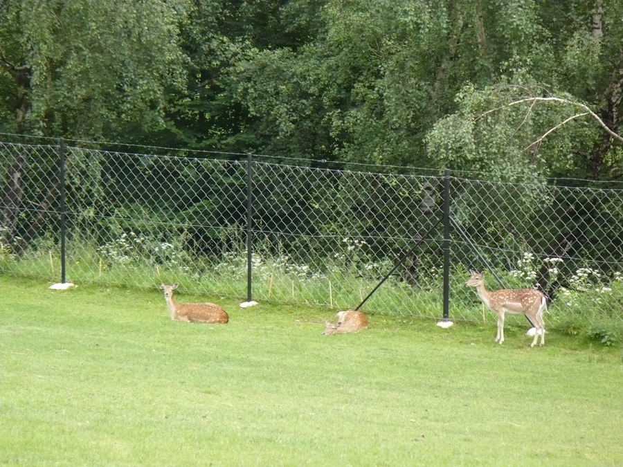 P1000306.JPG