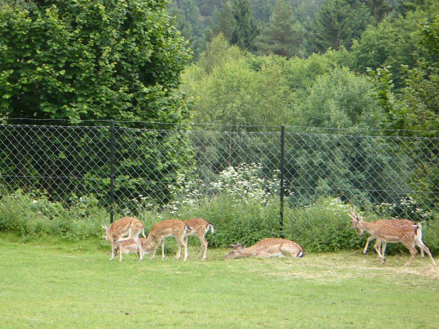 P1000305.JPG