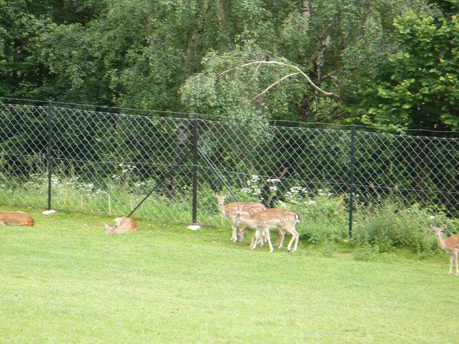 P1000307.JPG
