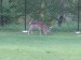 IMG_6167.JPG